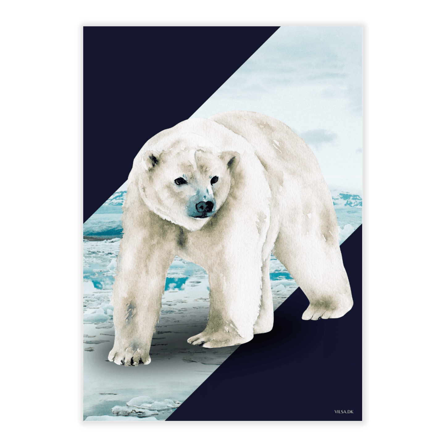 Vilsas dyreserie. Polardyr: Isbjørn