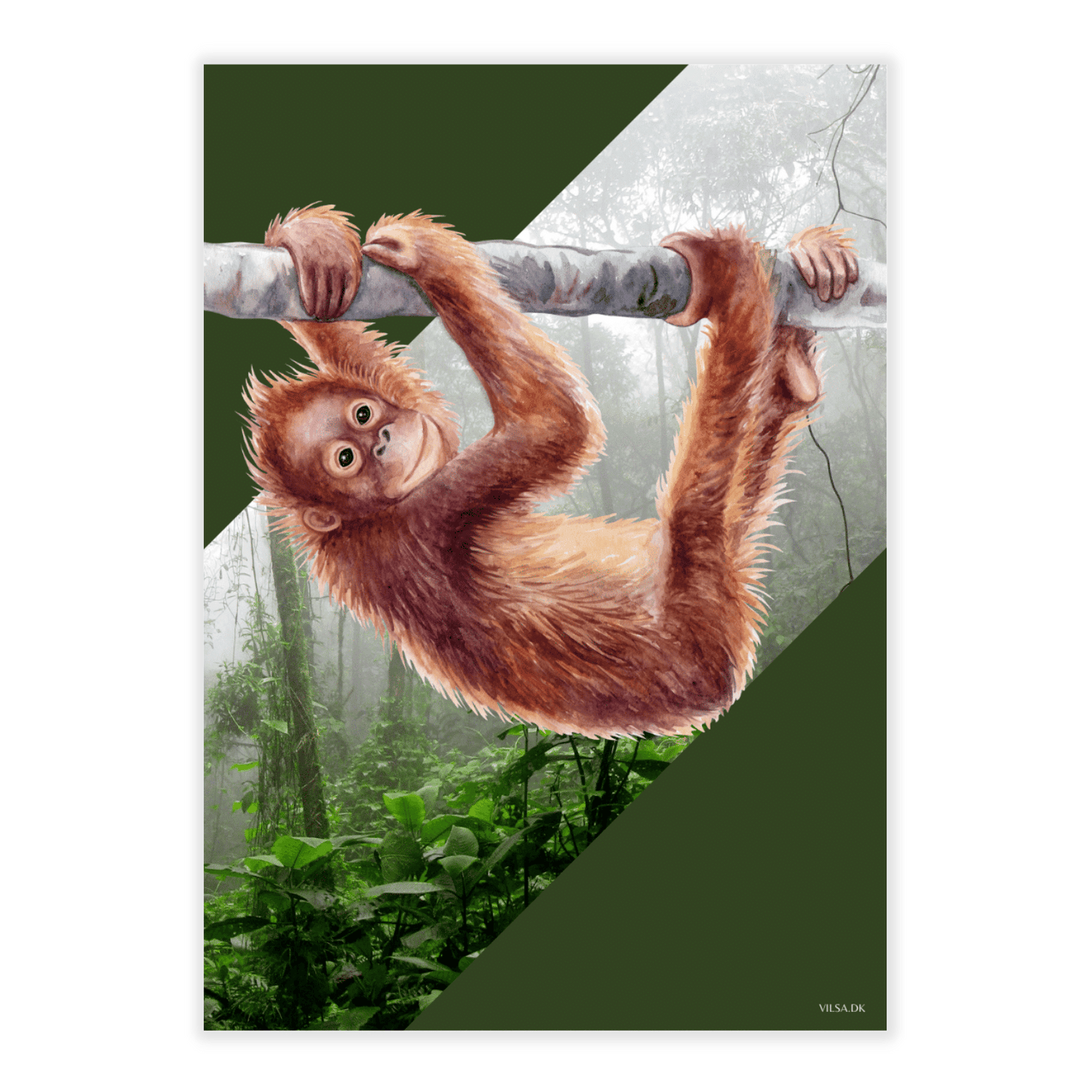 Vilsas dyreserie. Jungledyr: Abe