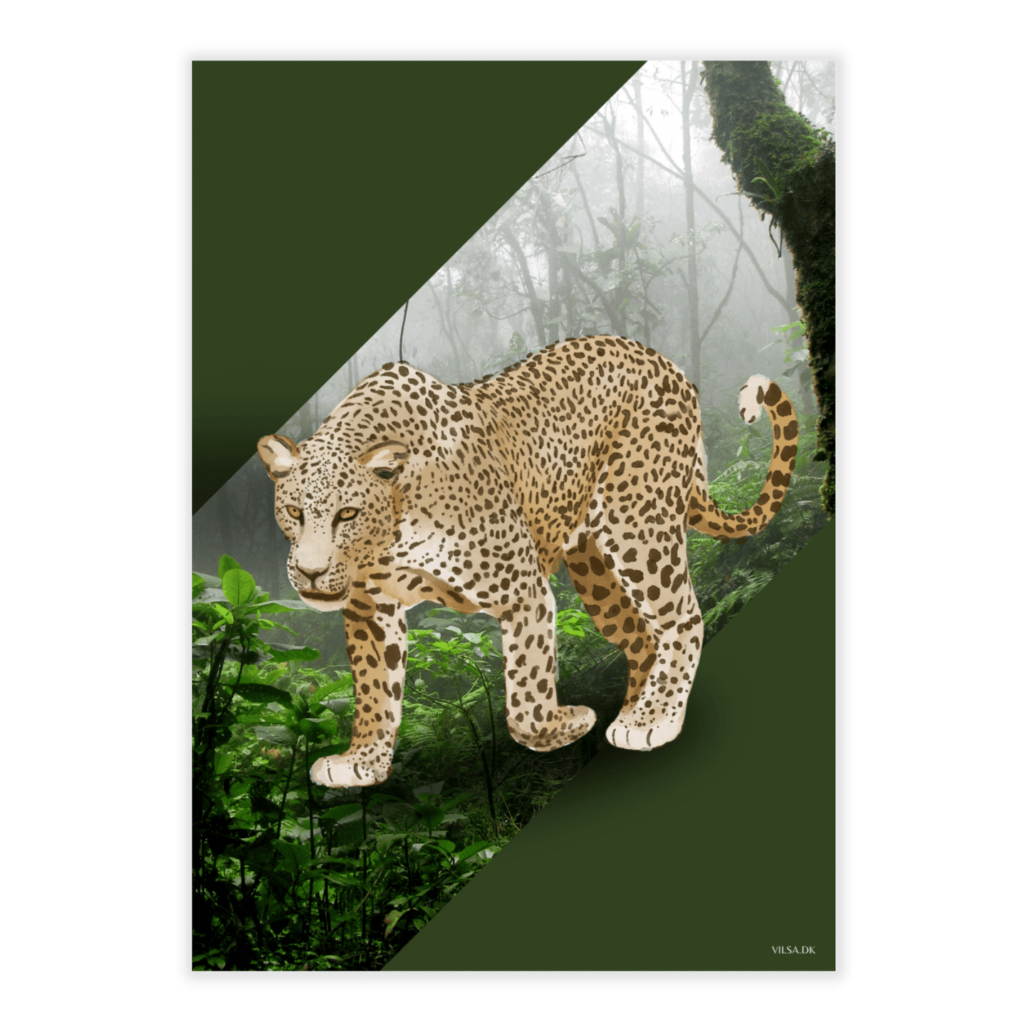 Vilsas dyreserie. Jungledyr: Leopard