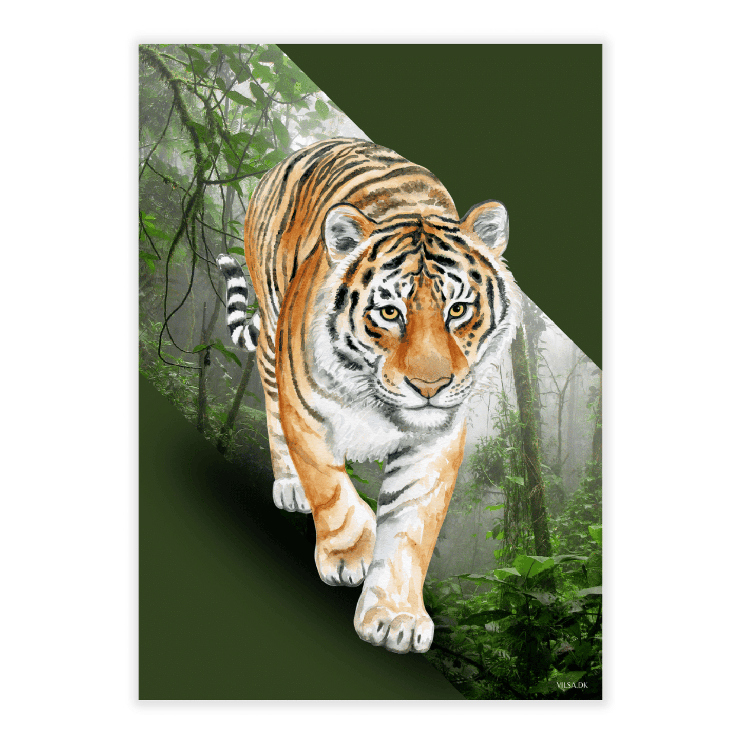 Vilsas dyreserie. Jungledyr: Tiger