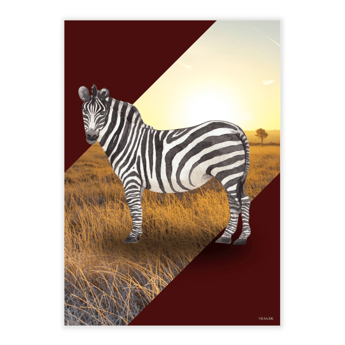 Vilsas dyreserie. Savanne: Zebra