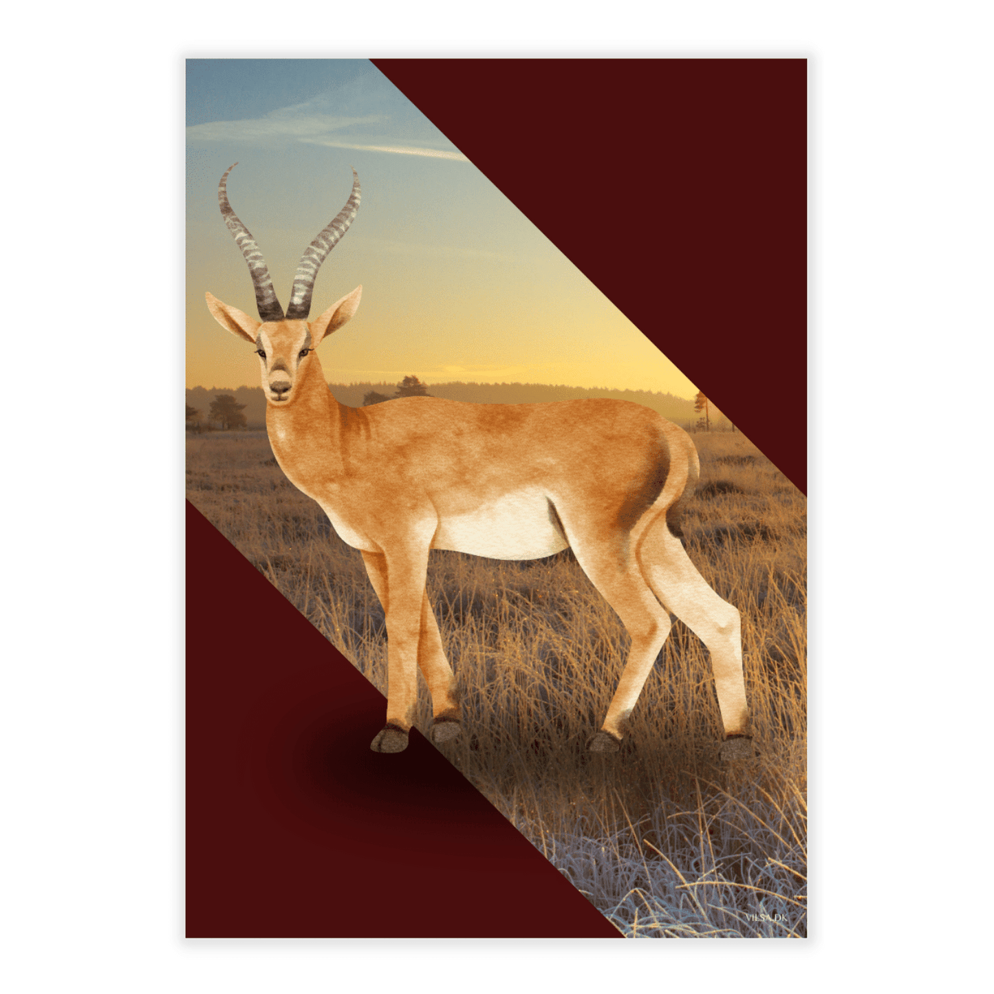 Vilsas dyreserie. Savanne: Antilope