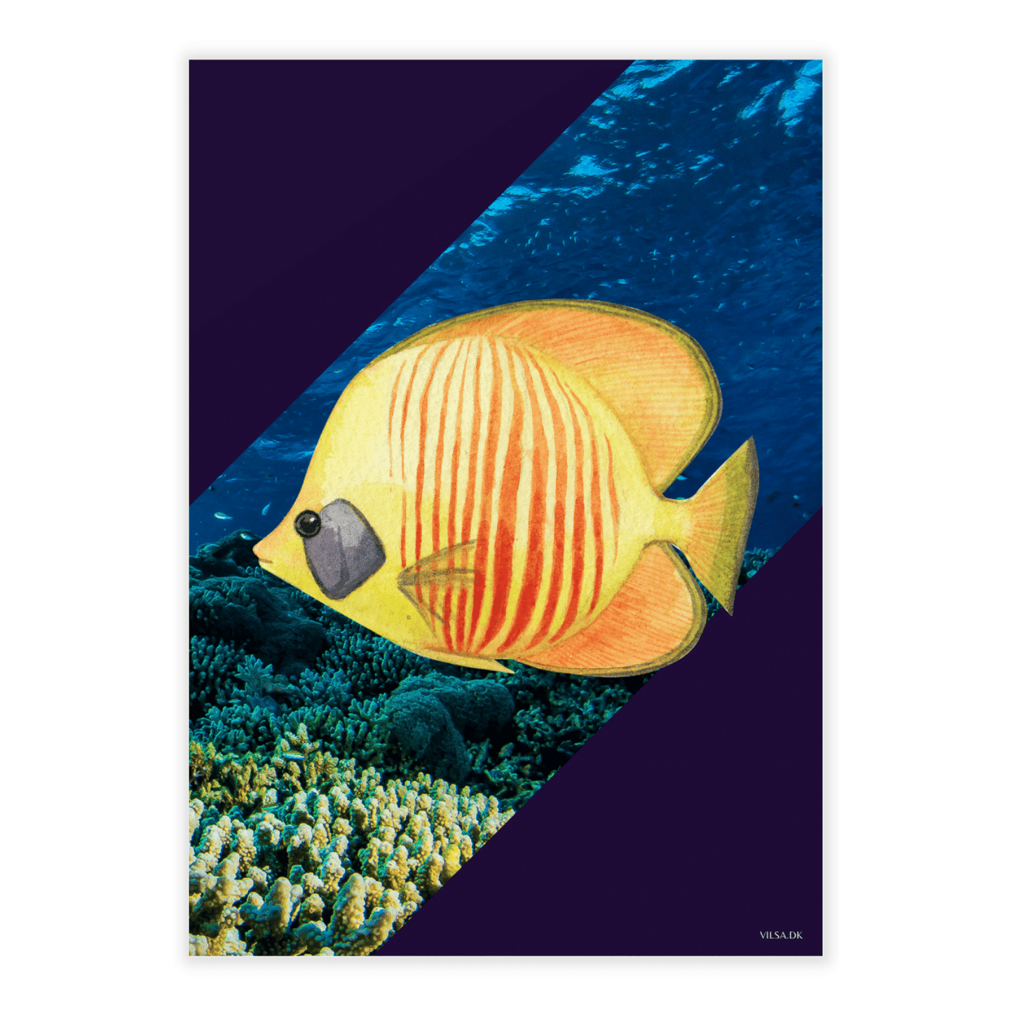 Vilsas dyreserie. koralrevsdyr: fisk