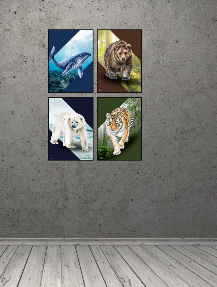 Vilsas dyreserie. Jungledyr: Tiger