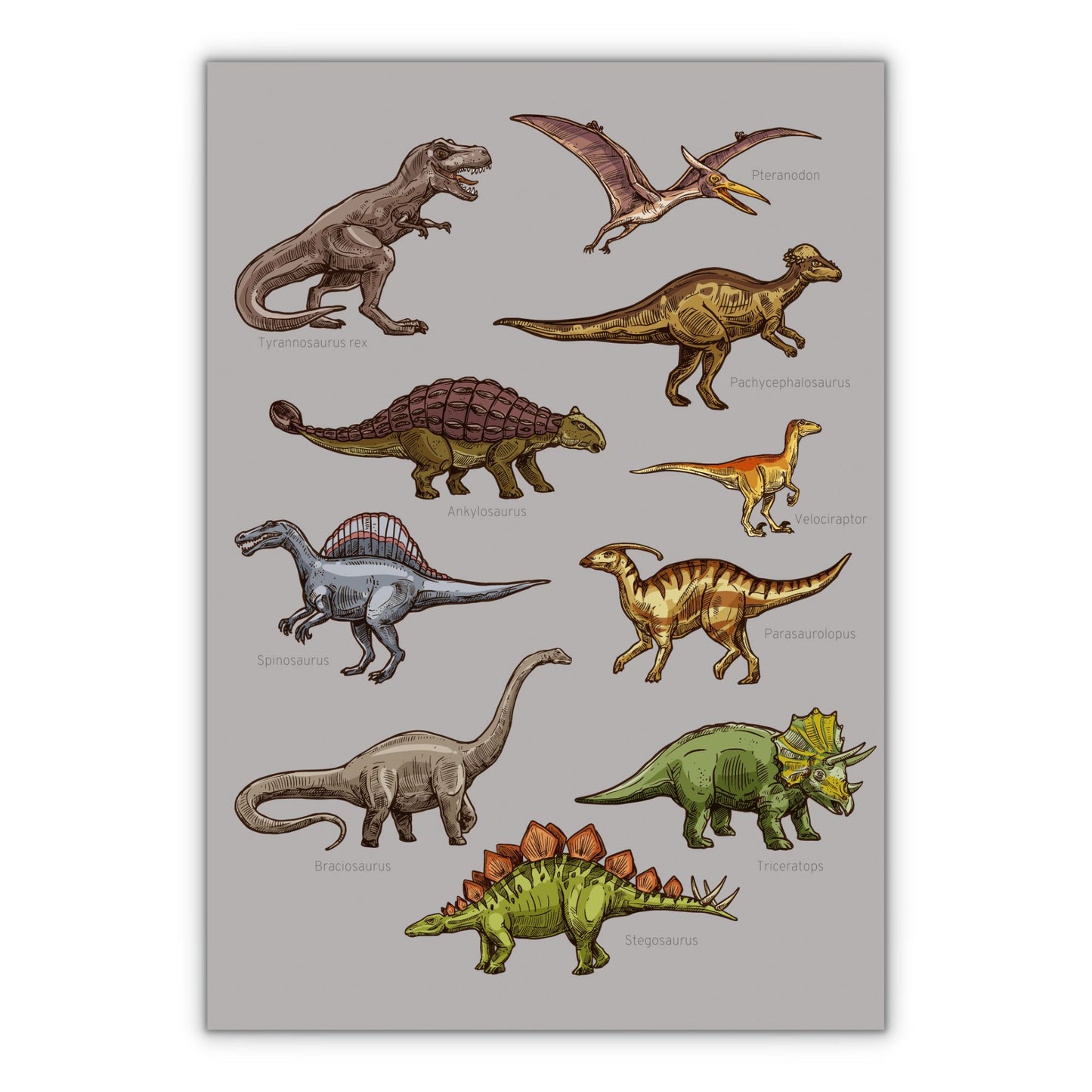 lærerig Dinosaur oversigts plakat til drenge eller pigeværelset grå baggrundsfarve