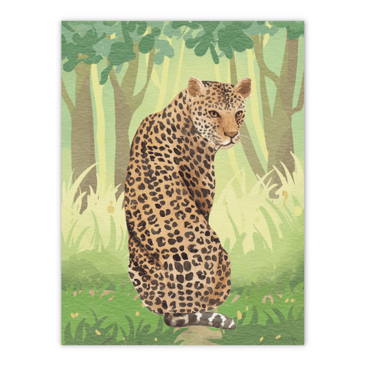 Leopard i regnskoven