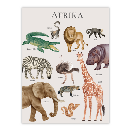 Plakat med oversigt over dyr i Afrika