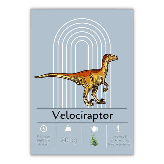 Velociraptor dinosaur plakat med blå baggrund til børneværelset