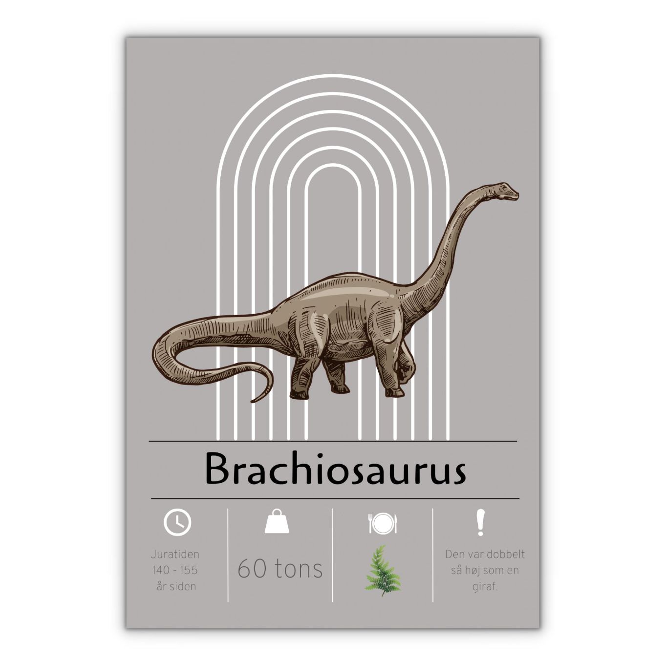 Brachiosaurus dinosaur plakat med grå baggrund til pigeværelse