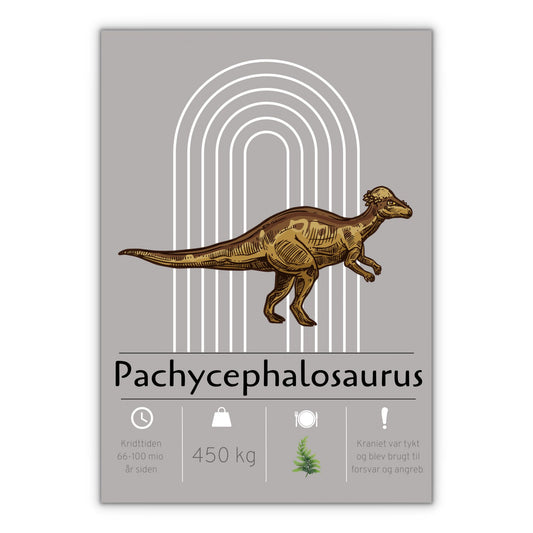 Pachycephalosaurus dinosaur plakat grå