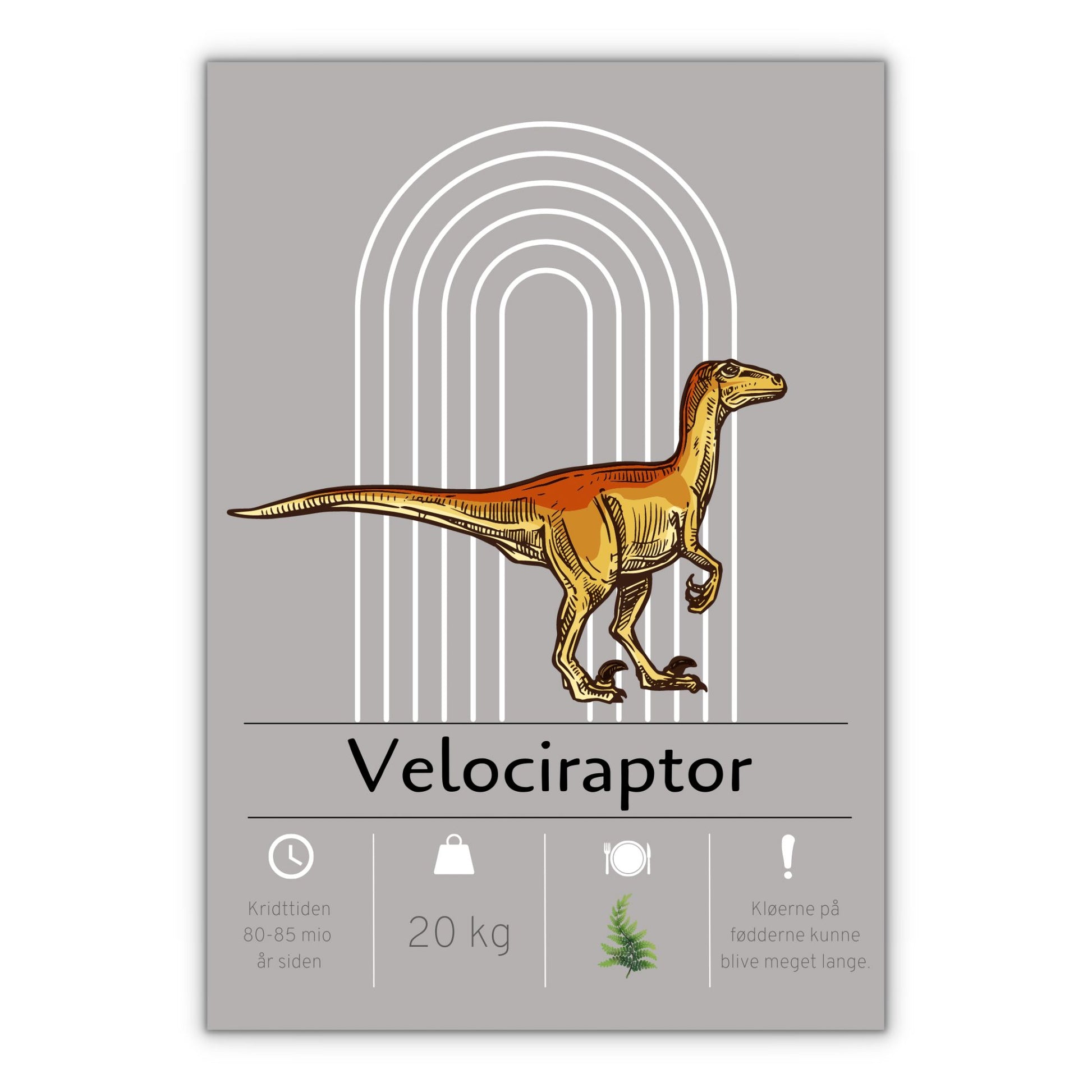 Velociraptor dinosaur plakat med grå baggrund til børneværelset