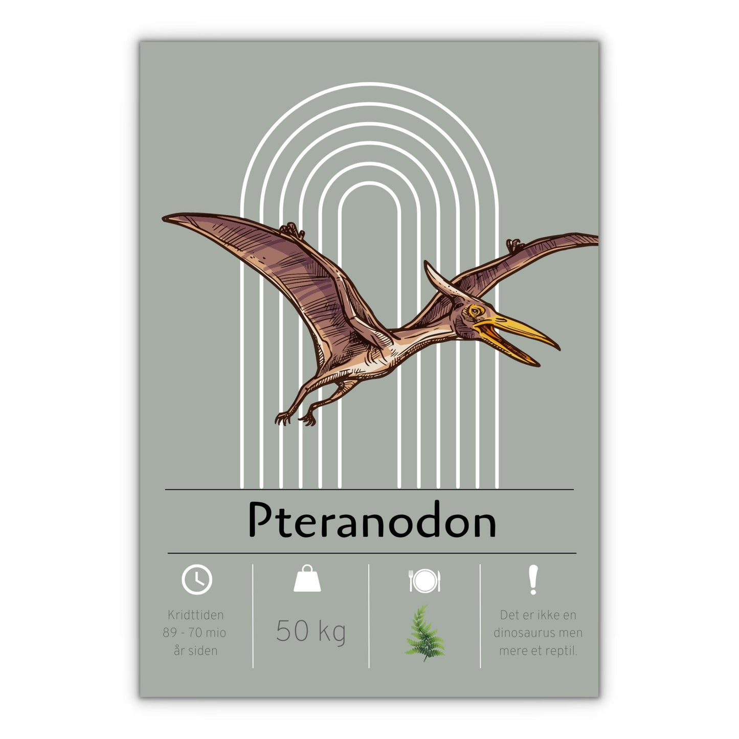 Dinosaurplakat med pteranodon til børneværelset
