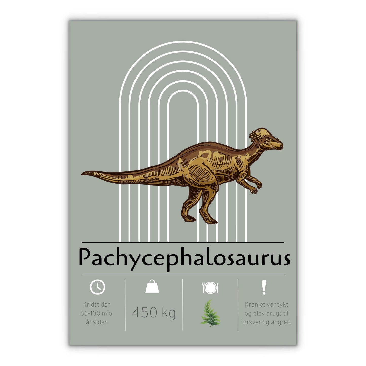 Pachycephalosaurus dinosaur plakat grøn