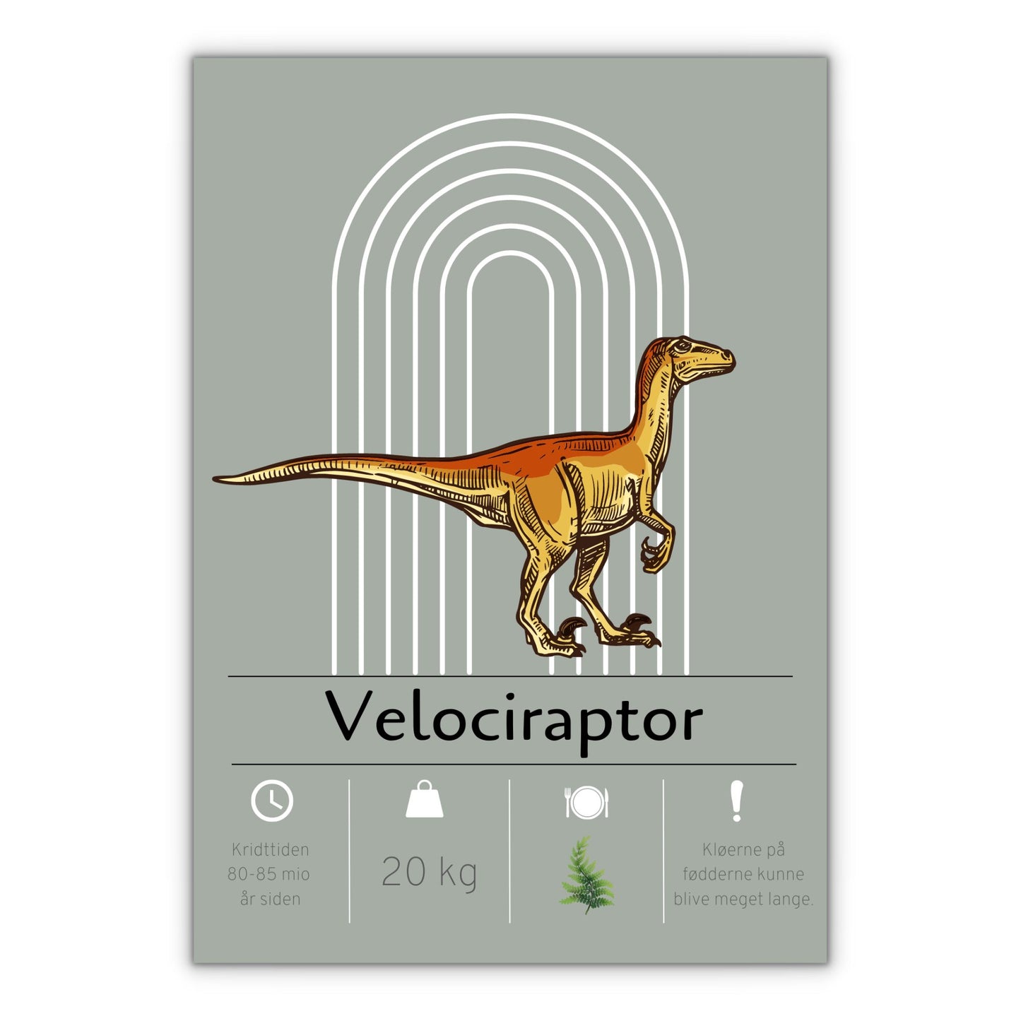 Velociraptor dinosaur plakat med grøn baggrund til børneværelset