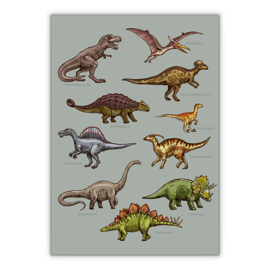 lærerig Dinosaur oversigts plakat til drenge eller pigeværelset grøn baggrundsfarve