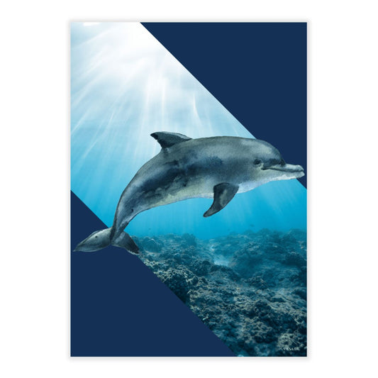 plakat af en delfin i haven, perfekt til børneværelset