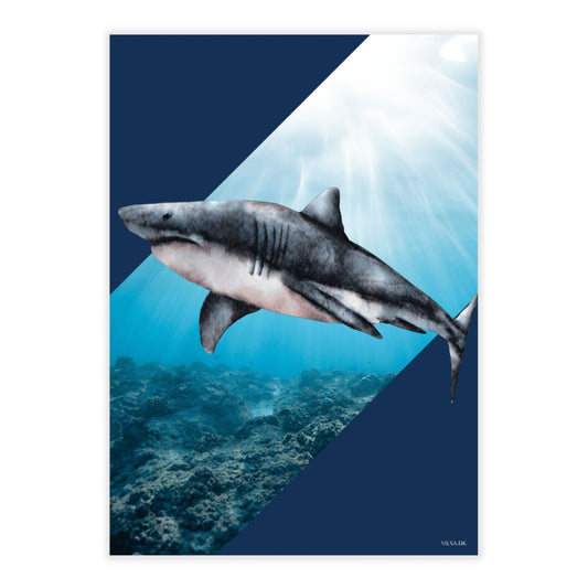 plakat med haj på blå baggrund til drengeværelse